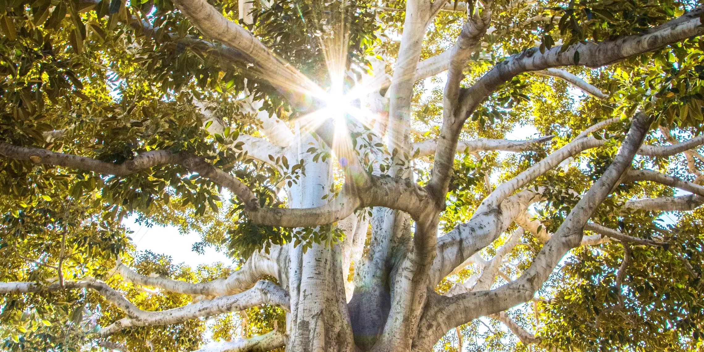 Jeremy Bishop Ewkxn5capa4 Unsplash